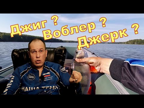 Видео: Воблер, Джиг, Джерк, Крупный силикон - Что эффективней ??