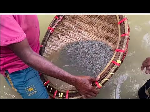 Видео: Речная добыча драгоценный камней: как мы ходили тропами гангстеров