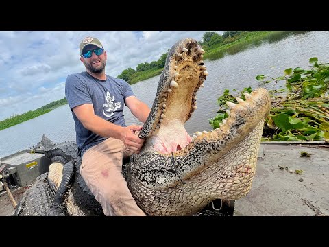Видео: Мы наконец-то поймали ЗВЕРЯ — АЛЛИГАТОРА