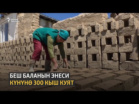 Видео: Беш баланын энеси күнүнө 300 кыш куят