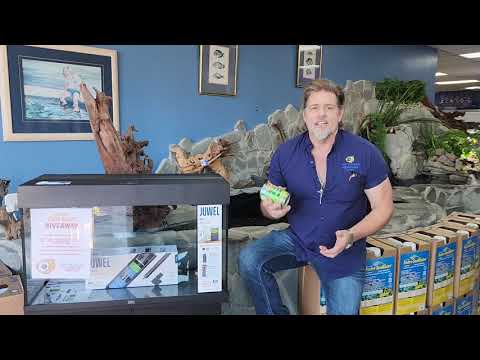 Видео: Пресноводные беспозвоночные Кевина | Еженедельные обновления