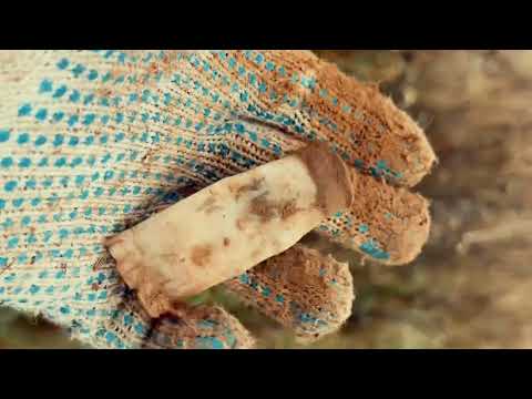 Видео: В поисках кузни 