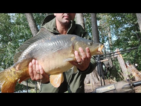 Видео: Карповая рыбалка#штормовой ветер#рыбалка в Германии.