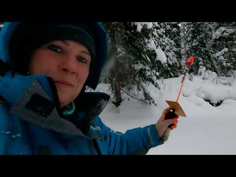 Видео: Рыбалка на хариуса / Первый выход по таежным рекам / Зимняя рыбалка на хариуса