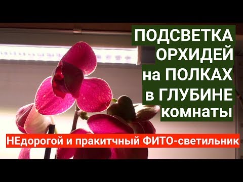 Видео: ПОДСВЕТКА для ОРХИДЕЙ, НЕдорогой и практичный ФИТО-светильник для полок с ОРХИДЕЯМИ