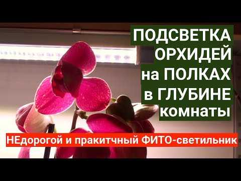 Видео: ПОДСВЕТКА для ОРХИДЕЙ, НЕдорогой и практичный ФИТО-светильник для полок с ОРХИДЕЯМИ