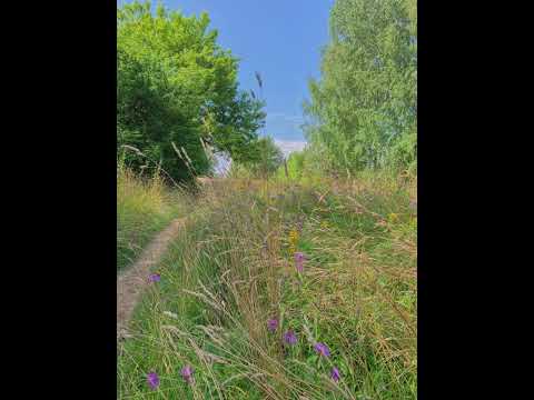 Видео: JONY-ты пари(speed up)