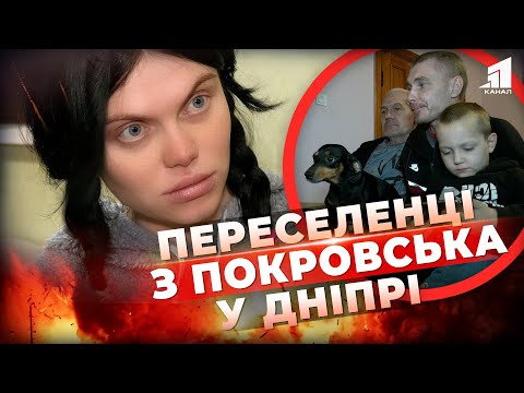 Видео: Переселенці з Покровська у Дніпрі: як живуть у прихистку разом з дітьми і тваринами?
