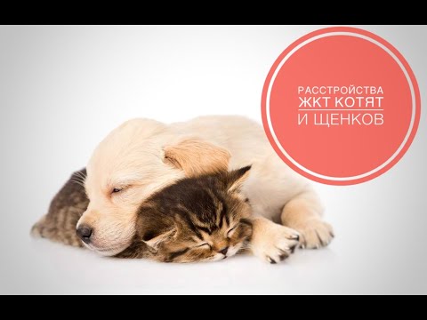 Видео: Расстройства ЖКТ новорожденных