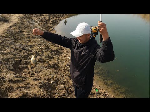 Видео: Достармен Маёвка керемет болды.