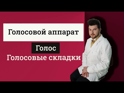 Видео: Голосовой аппарат │Голос │Голосовые связки