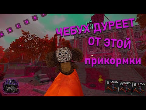 Видео: Как проходят кв у топовых группировок в STALCRAFT: X | clanweek #1