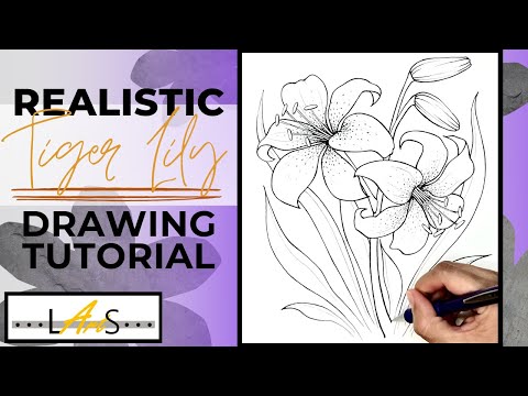 Видео: Как нарисовать реалистичную ТИГРОВУЮ ЛИЛИЮ! Пошаговый рисунок карандашом! Тигровая лилия! Как нар...