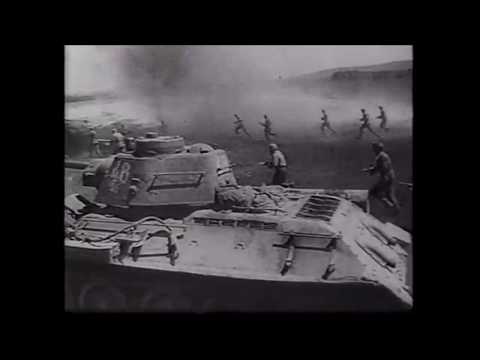 Видео: Гадам нет пощады