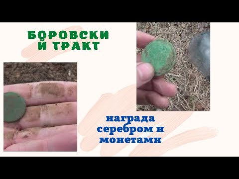 Видео: Боровский тракт наградил серебром. древняя дорога. коп с хр орх.