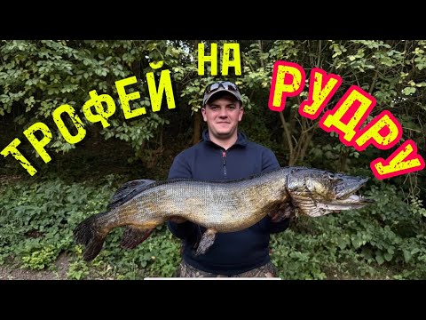 Видео: Охота за осенней щукой | Трофей, который не забуду!