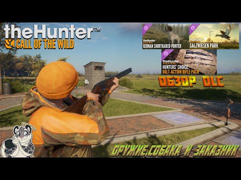 Видео: Обзор DLC (Salzwisen,German Pointer & Bolt-Action Rifle Pack) в "TheHunter: Call of The Wild"