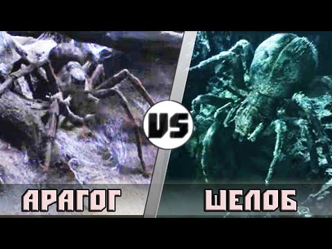 Видео: Шелоб vs Арагог  | Кто кого?