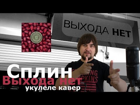 Видео: СПЛИН - ВЫХОДА НЕТ укулеле кавер
