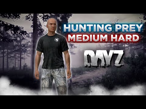 Видео: DAYZ PVE | ПРОЕКТ HUNTING PREY | MEDIUM HARD | SKILL, QUEST #1
