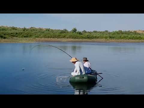 Видео: АРНАСАЙ. УДАЧНАЯ РЫБАЛКА 2025 г.
