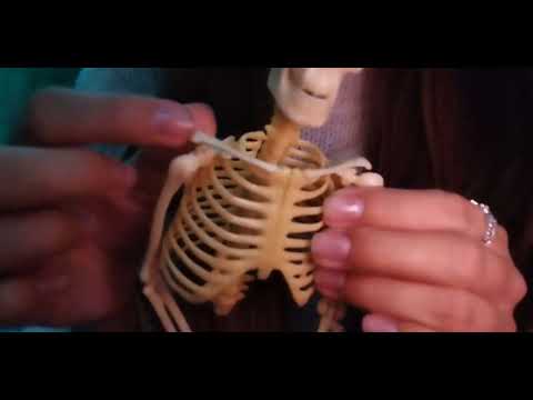 Видео: агрессивный лофи асмр/aggressivus lofi asmr