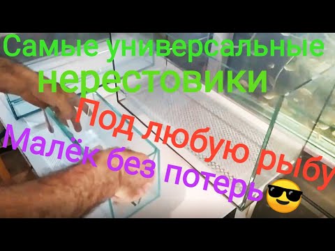 Видео: Нерестовики для любой рыбы и на все случаи жизни! Универсальные нерестовики!