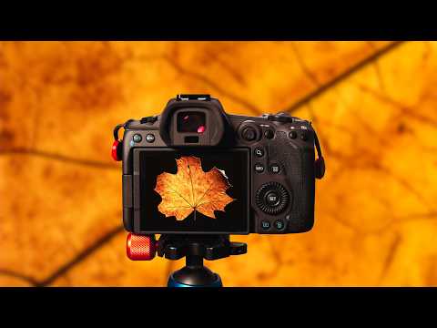 Видео: Макросъемка со вспышкой дома: простая идея для креативных снимков!