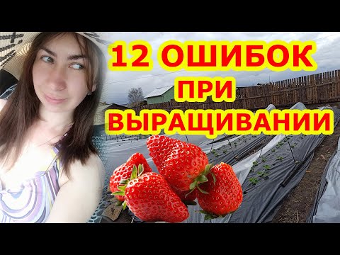 Видео: 12 моих ошибок при выращивании клубники