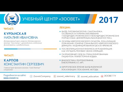 Видео: Курганская Н. И. и Карпов К. С. в УЦ «Зоовет» | ч. 5