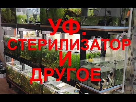 Видео: УФ. Стерилизатор. ТДС  и другое...
