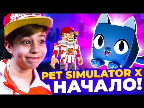 Видео: ПЕРВЫЙ РАЗ в ПЕТ СИМУЛЯТОР Х РОБЛОКС! ➢ Pet Simulator X Roblox
