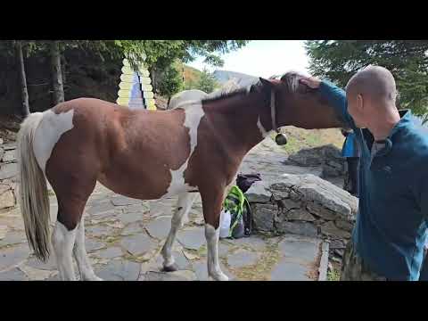 Видео: До хижа "Козя стена" (цялото видео)