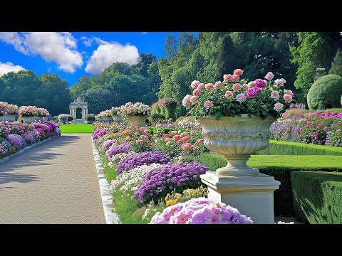 Видео: Прогулка по цветочным изгородям 🌸 Расслабляющая прогулка по саду для успокоения души | Гениальная...