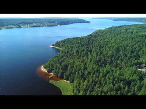 Видео: Суходольское озеро  Удальцово Карельский перешеек