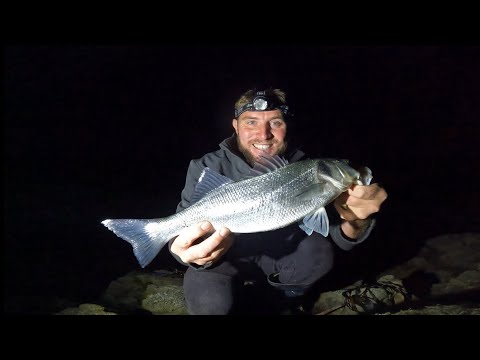 Видео: ЗАЖЖЕННЫЙ ОКУНЬ!! | ОДНА НЕЗАБЫВАЕМАЯ НОЧЬ | ЛОВЛЯ ОКУНЯ НА ПРИМАНКУ