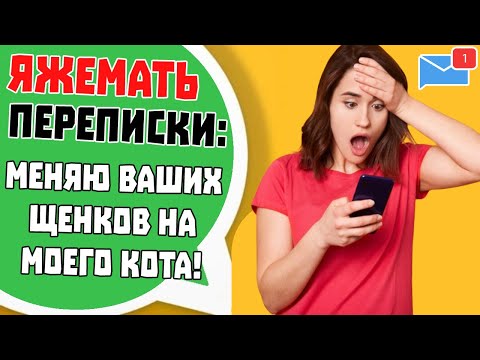 Видео: Яжемать Переписки: "Меняю ваших щенков на моего кота!" (Сборник)