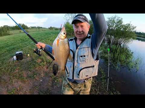 Видео: Рыбалка на реке Волхов. Новгородская обл. Лещ, Сопа и крупная Густера. Рыбалка с берега.