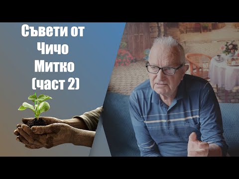 Видео: Биодинамично земеделие с Чичо Митко (част 2от2). Мъдрост събирана през годините за чисто отглеждане.