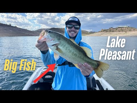 Видео: Озеро Плезант наконец-то к нам благосклонно! Ловля окуня на самом сложном озере Аризоны