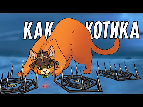 Видео: Как котика! | Rainbow Six Siege
