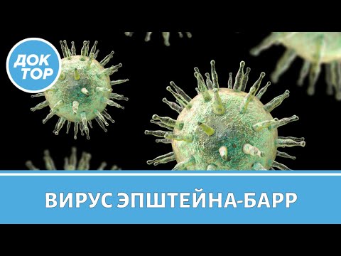 Видео: Врач–онколог рассказал про вирус Эпштейна-Барр
