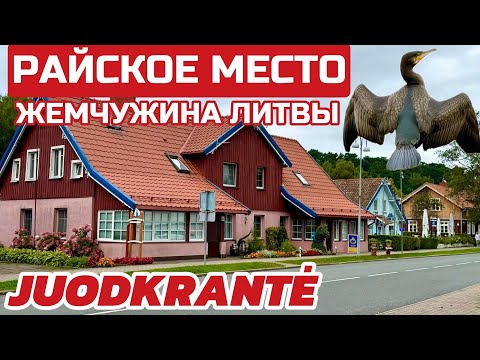 Видео: Юодкранте Самая ДОРОГАЯ деревня и Самый спокойный КУРОРТ Литвы. Ведьма в доме- это к удаче #lietuva 