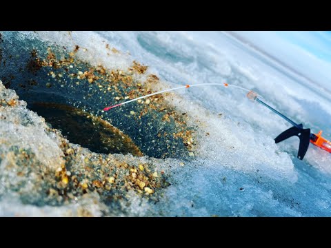 Видео: РЫБАЛКА на КАПЧАГАЕ , ЛОВЛЯ ВОБЛЫ ЗИМОЙ