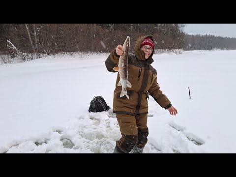 Видео: Новогодняя рыбалка. 1.01.2025г.