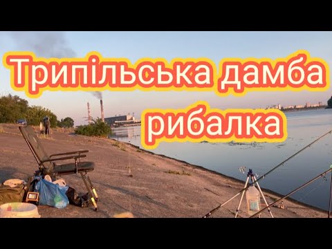 Видео: Трипільська дамба, карась, плотва, сом