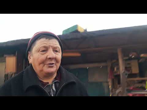 Видео: Останні золоті дні...