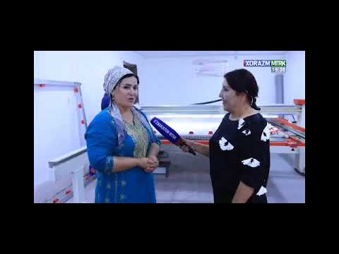 Видео: 5 ноября 2025 г.