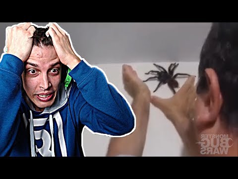 Видео: НЕ ОТЛЕПЯЙТЕ ПОГЛЕД! #2