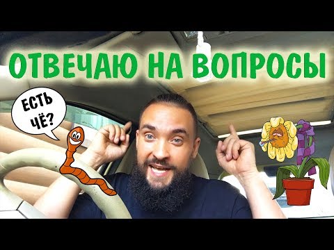 Видео: Обо всем за рулем #20 / Есть че? / Брага / Болезни растений / Инновации / Скидки